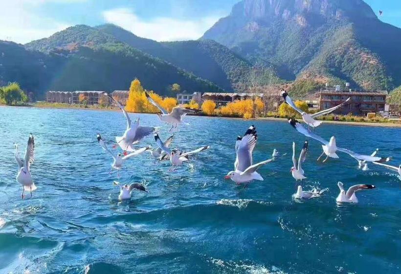 اتاق سوپریور, Lijiang Three Wells Inn