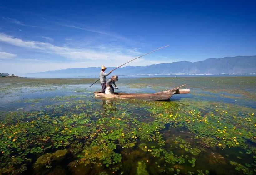 اتاق سوپریور, Lijiang Three Wells Inn