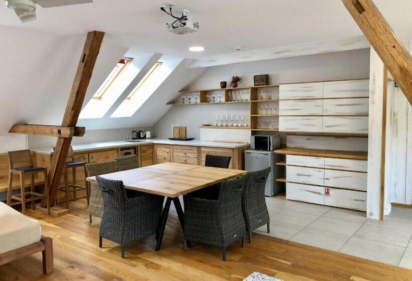 إستوديو قياسى مزودة بتراس, Statek Samsara