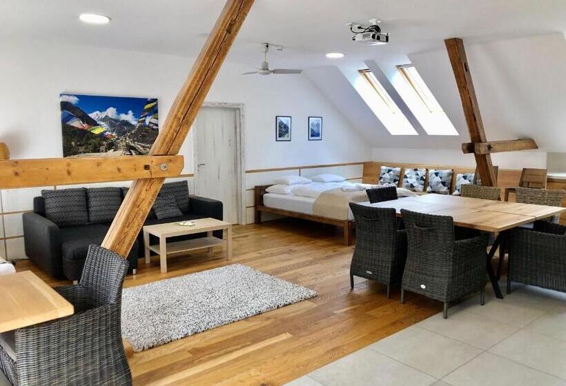 إستوديو قياسى مزودة بتراس, Statek Samsara