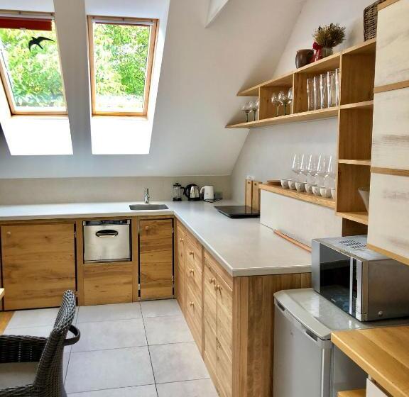 إستوديو قياسى مزودة بتراس, Statek Samsara