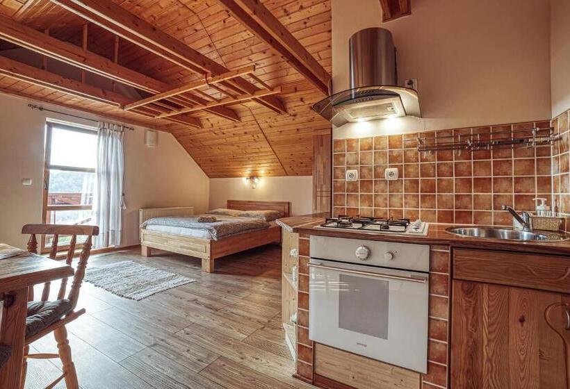 Апартаменты 1 Спальня с Террасой, Zet Penzion & Wellness