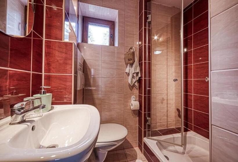 Standart Oda, Zet   Penzion & Wellness