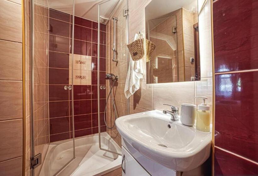 Апартаменты 1 Спальня с Террасой, Zet Penzion & Wellness