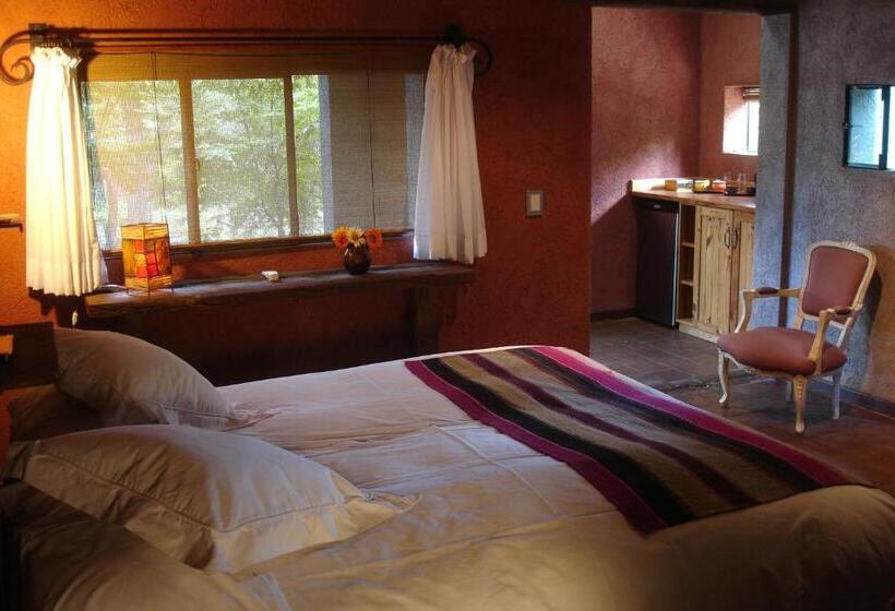 スタンダードルーム, Puesto Victoria   Adults Only