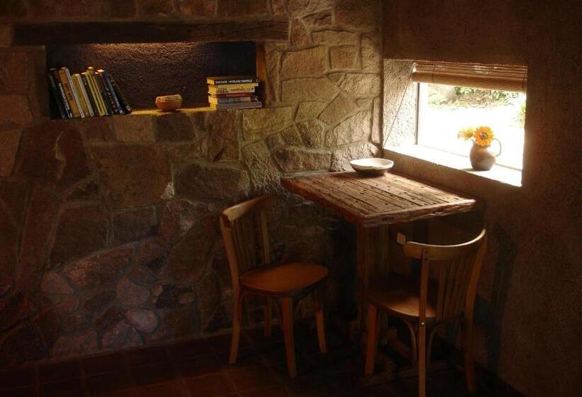 スタンダードルーム, Puesto Victoria   Adults Only