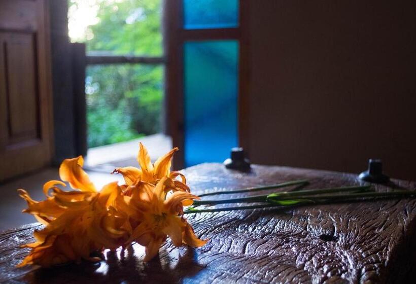 クラシックルーム, Puesto Victoria   Adults Only