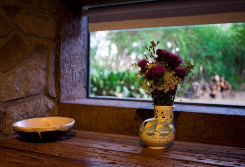 スタンダードルーム, Puesto Victoria   Adults Only