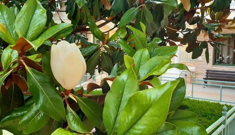 1階の1ベッドルームアパートメント, Apartcomplex Splendid