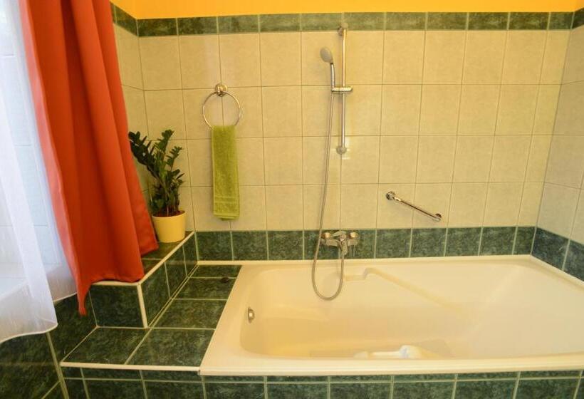 Апартаменты Superior 2 Спальни, Nexus Vendégház Szeged