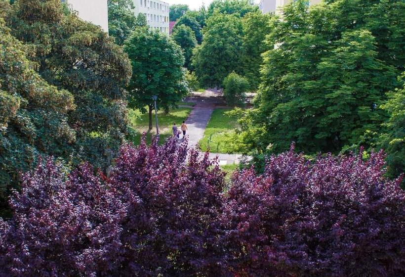 דירת 2 חדרים סופריור, Nexus Vendégház Szeged