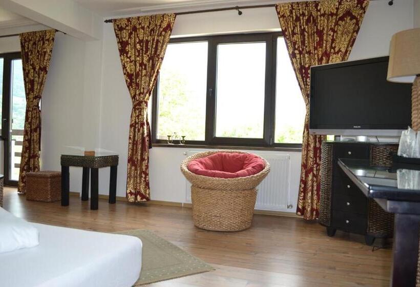 Appartement 1 Chambre avec Balcon, Inspire View