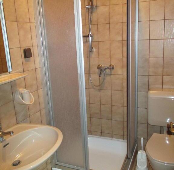 Трехместный Номер Стандарт с Балконом, Bamerhof