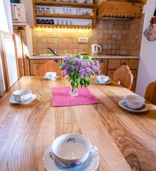 آپارتمان 1 خوابه با بالکن, Tourist Farm šenkova Domačija