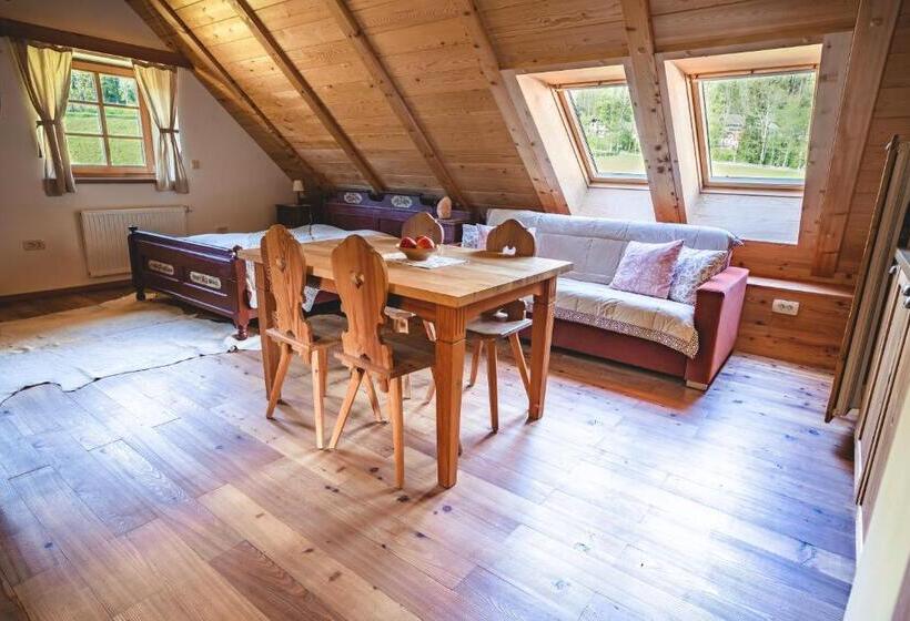 آپارتمان 1 خوابه, Tourist Farm šenkova Domačija