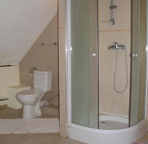 اتاق استاندارد با سرویس بهداشتی مشترک, Little Amber Apartments