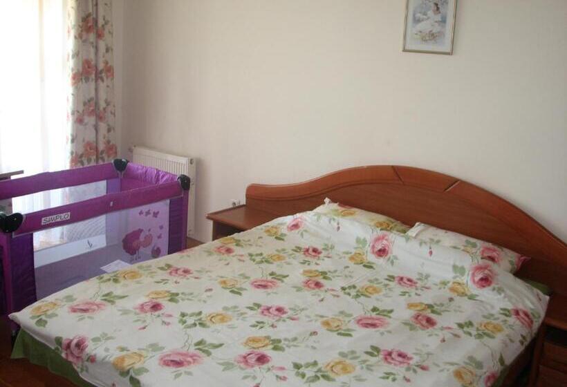 اتاق استاندارد با سرویس بهداشتی مشترک, Little Amber Apartments