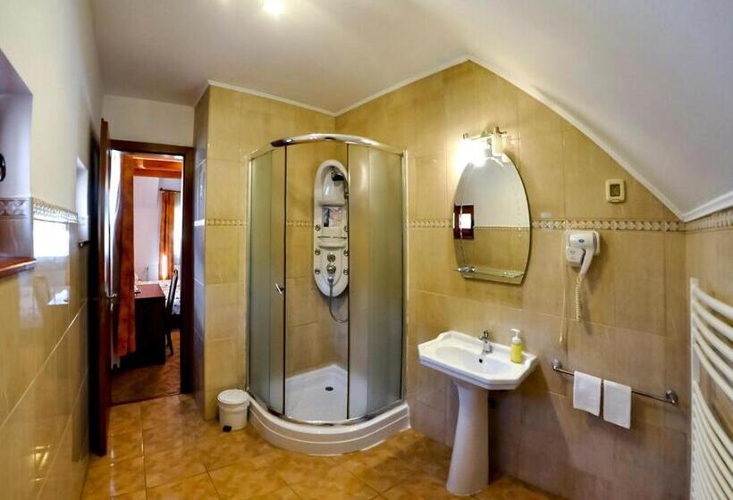 スタンダードシティビュールーム, Pensiunea Sub Cetate Deva