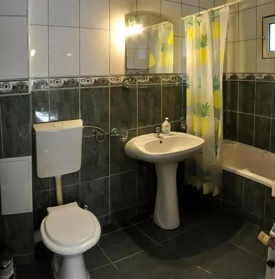 Pokój Typu Standard Przystosowany dla Osób Niepełnosprawnych, Pensiunea Sub Cetate Deva