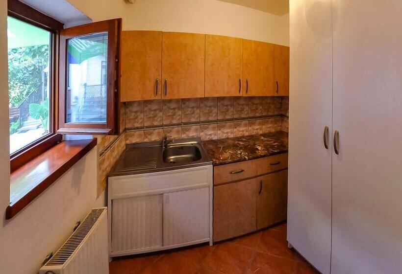 身障者適用スタンダードルーム, Pensiunea Sub Cetate Deva