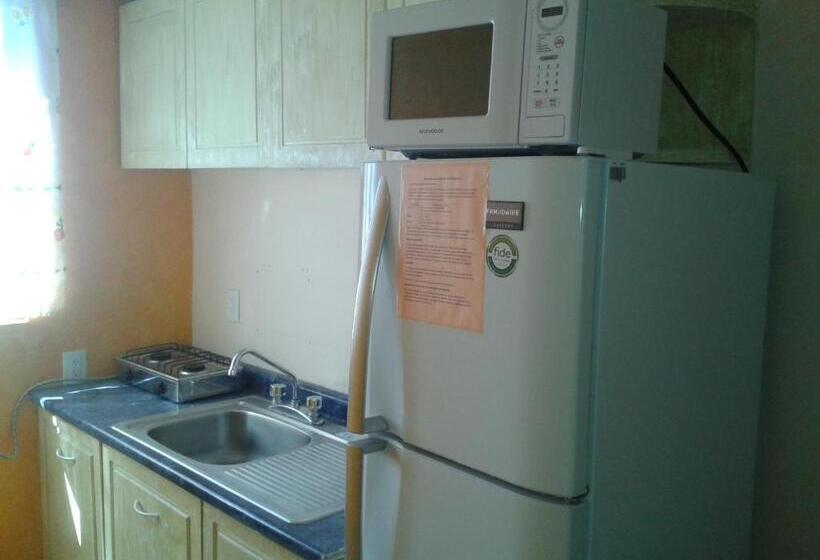 带2个卧室的套房, Tolotzin