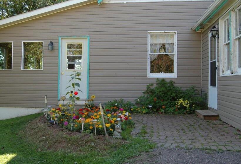 バス共有のスタンダードルーム, North Rustico Bed And Breakfast