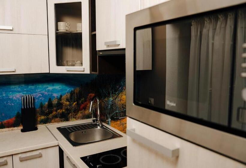 景色の見える一ベッドルームアパートメント, Marmaros Apart Hotel & Spa