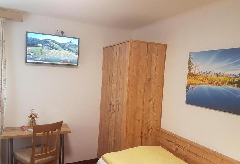 اتاق استاندارد یک نفره, Oberauer Wagrain Die Eco Familien Hotelpension B&b