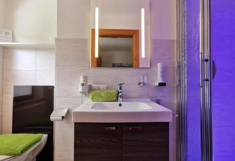 اتاق استاندارد یک نفره, Oberauer Wagrain Die Eco Familien Hotelpension B&b