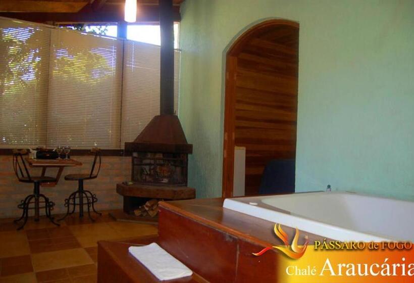 シャレー・デラックス1寝室, Pássaro De Fogo