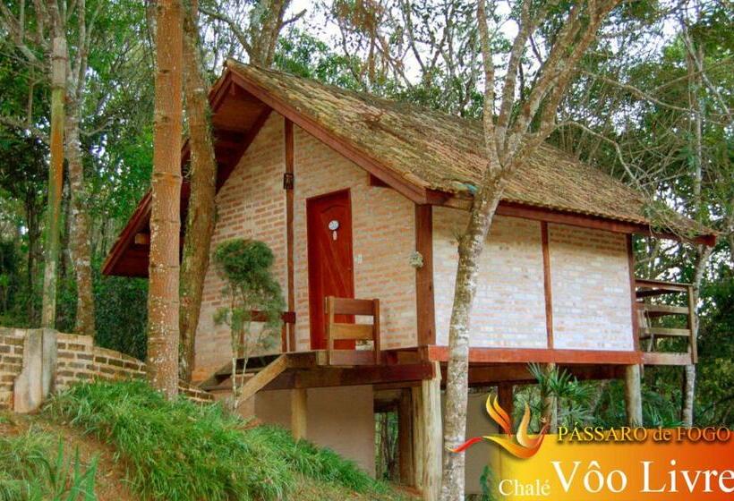 スーペリアールーム, Pássaro De Fogo