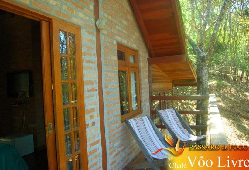 スーペリアールーム, Pássaro De Fogo