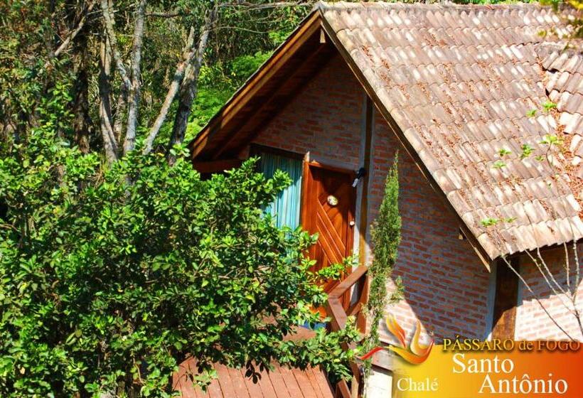 スーペリアールーム, Pássaro De Fogo