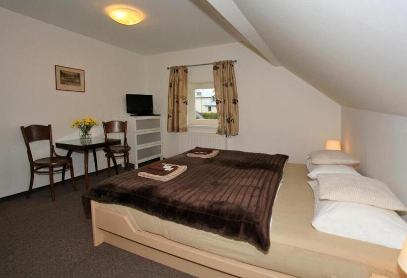 스탠다드 룸, U Kašny