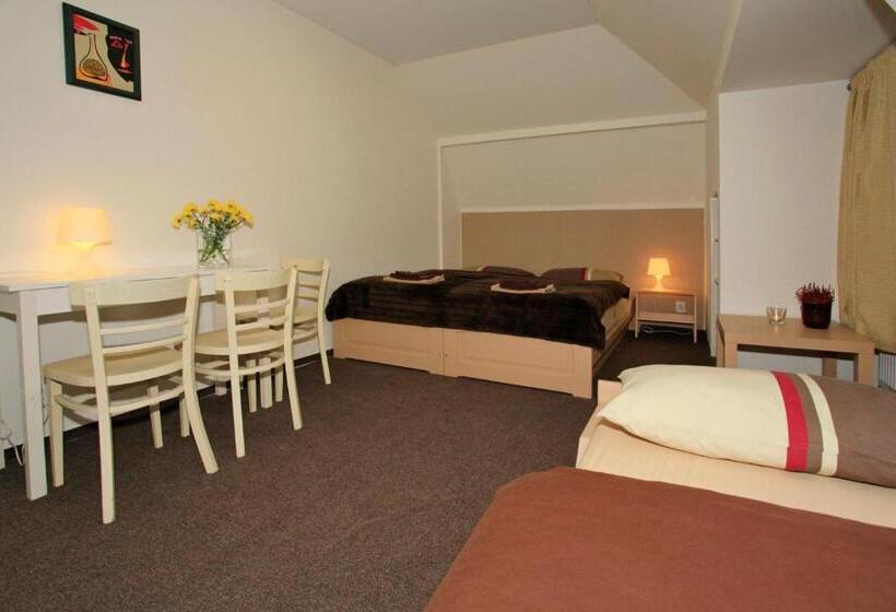 스탠다드 트리플 룸, U Kašny