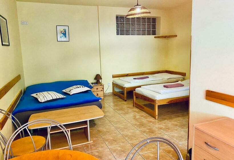 آپارتمان 1 خوابه, Pension 15 Homér