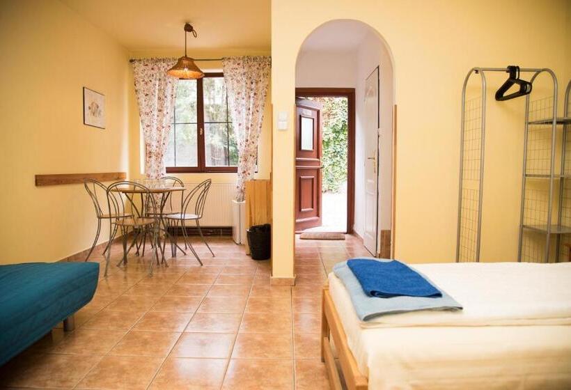 آپارتمان 1 خوابه, Pension 15 Homér