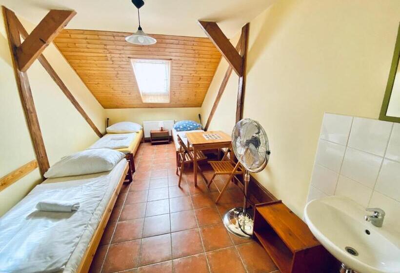 اتاق استاندارد سه تخته با سرویس بهداشتی مشترک, Pension 15 Homér