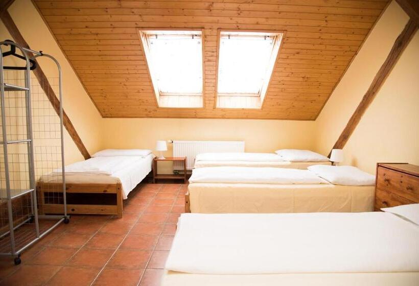 اتاق استاندارد چهارنفره با سرویس بهداشتی مشترک, Pension 15 Homér