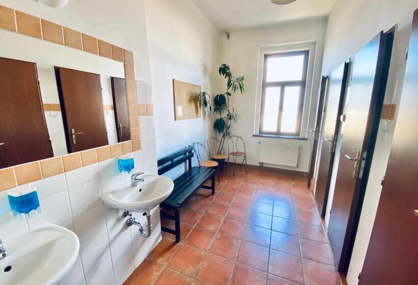 اتاق استاندارد با سرویس بهداشتی مشترک, Pension 15 Homér