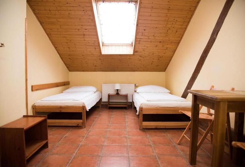 اتاق استاندارد با سرویس بهداشتی مشترک, Pension 15 Homér