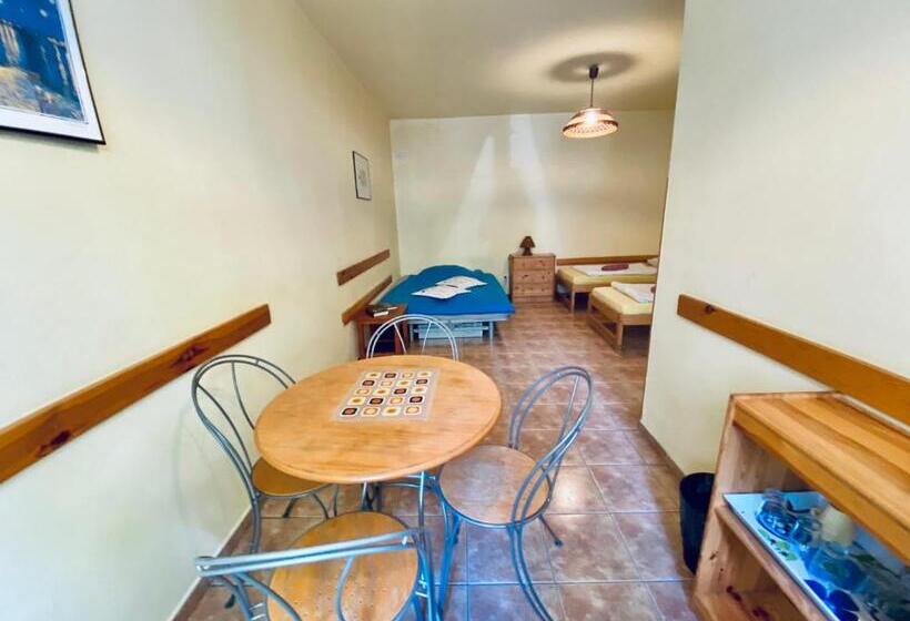 آپارتمان 1 خوابه همکف, Pension 15 Homér