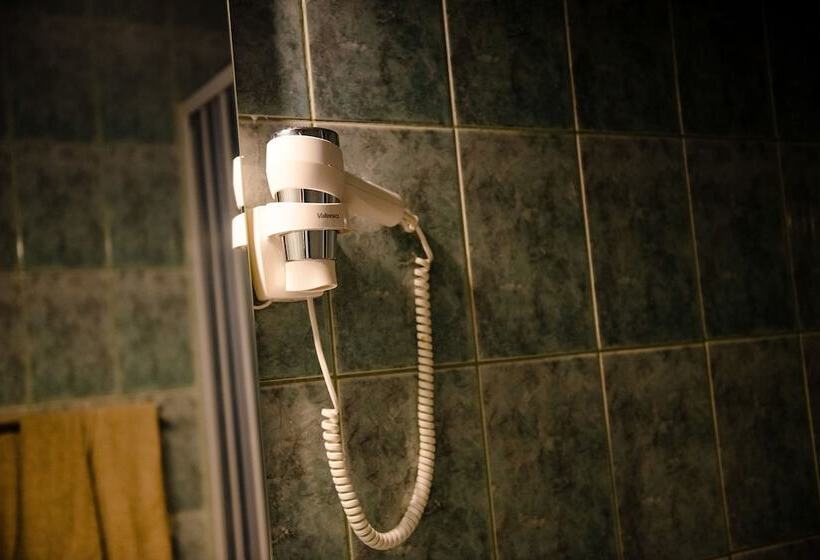 חדר סופריור, Pensiune Roua