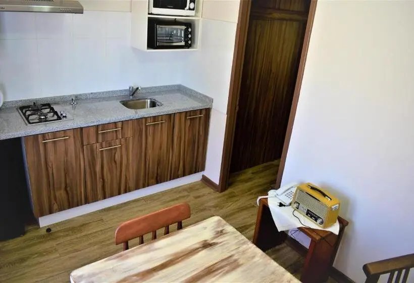 آپارتمان سوپریور 1 خوابه, Apart Hotel Y Cabanas Vegasur