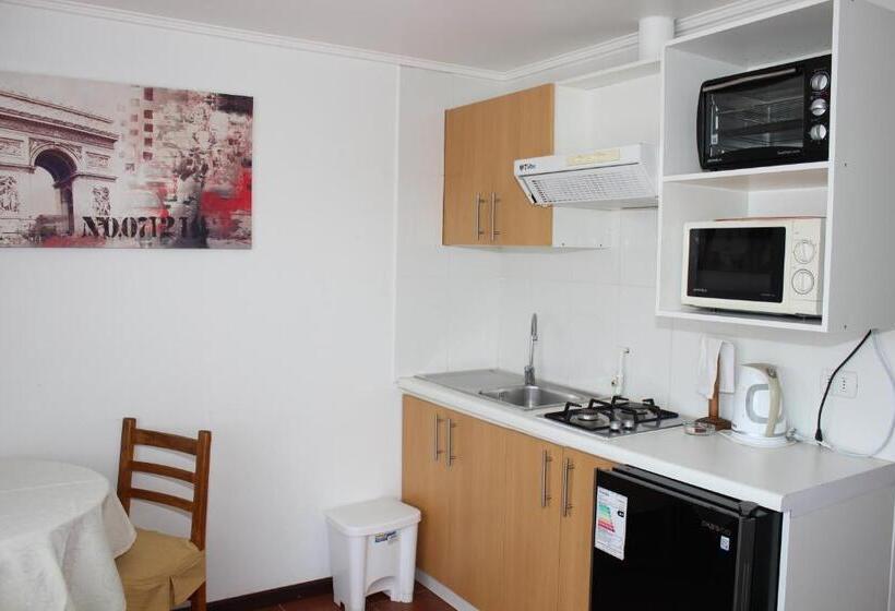 آپارتمان 1 خوابه, Apart Hotel Y Cabanas Vegasur