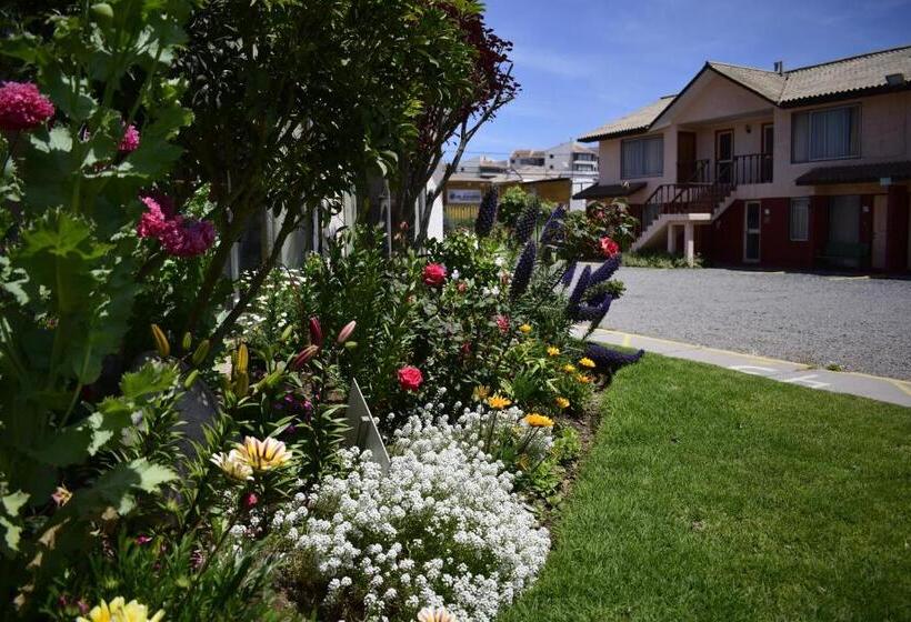 آپارتمان 1 خوابه, Apart Hotel Y Cabanas Vegasur