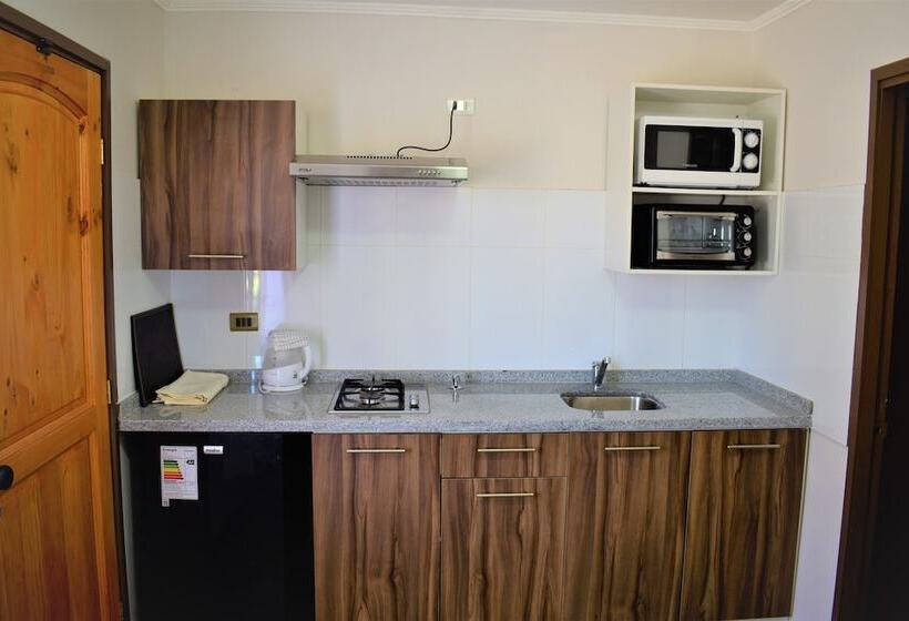 آپارتمان سوپریور 1 خوابه, Apart Hotel Y Cabanas Vegasur