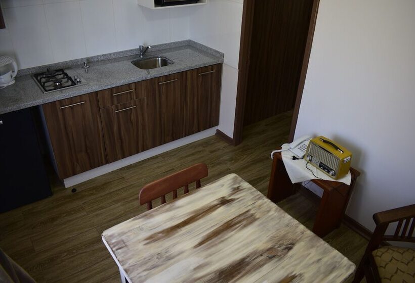 آپارتمان سوپریور 1 خوابه, Apart Hotel Y Cabanas Vegasur