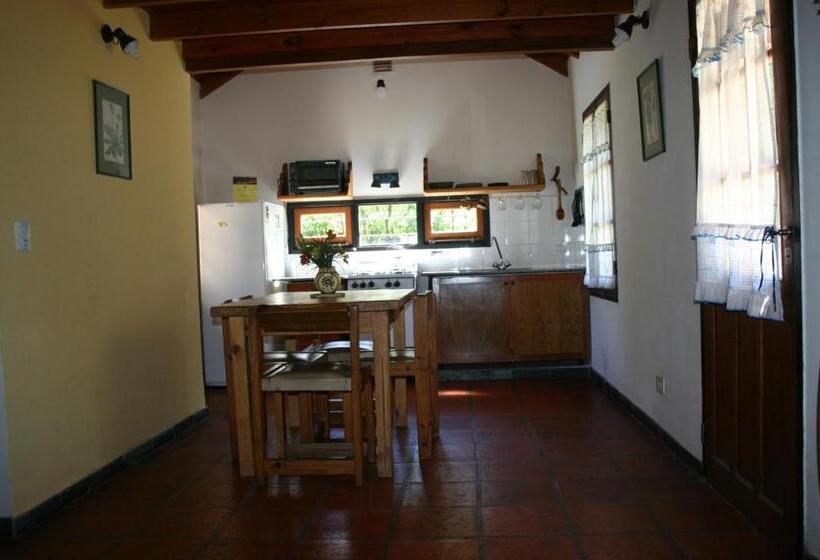 بنجلو قياسى, El Rincón Del Molle