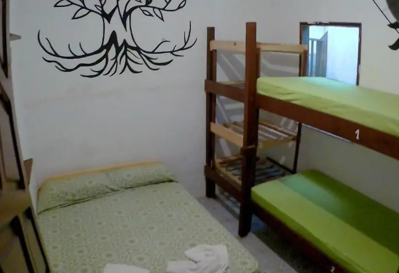 バスルーム共同エコノミー4人部屋, Hostel Freedive Inn
